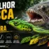 Melhor Isca Artificial para Tucunaré em 2026: 5 Opções Testadas