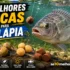 Melhor Isca Artificial para Tucunaré em 2026: 5 Opções Testadas