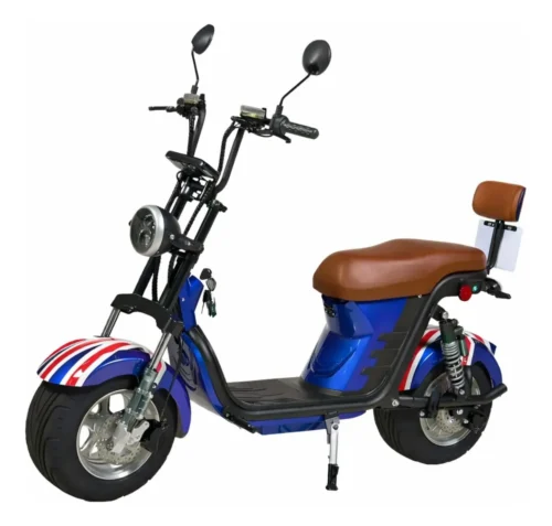 Scooter Elétrica 1000 Watts